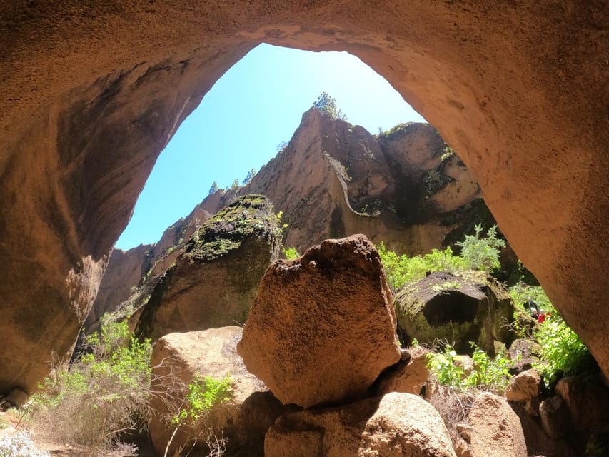 Tenerife: Guided Canyoning Experience in Los Arcos - Price and value: is $82 worth it?