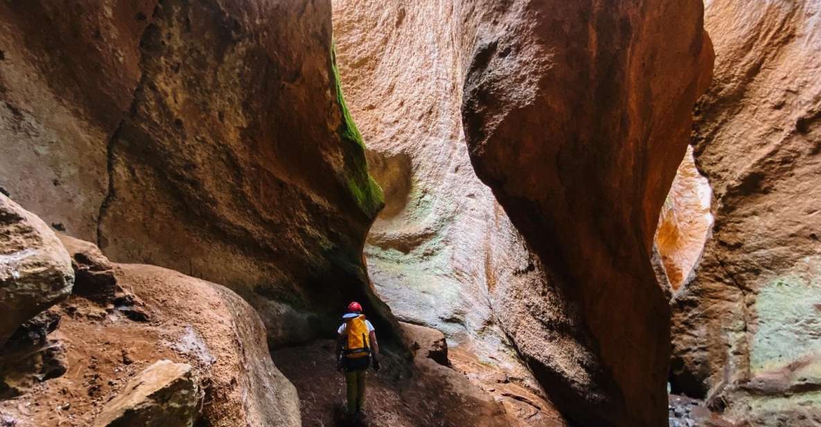 Tenerife: Guided Canyoning Experience in Los Arcos - The 6-hour flow: from the cafeteria car park to the canyon walls
