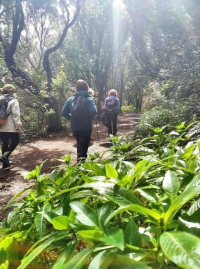 Tenerife: Guided hike in Anaga Rural Park - Choosing shoes for Tenerife’s humid, muddy trail
