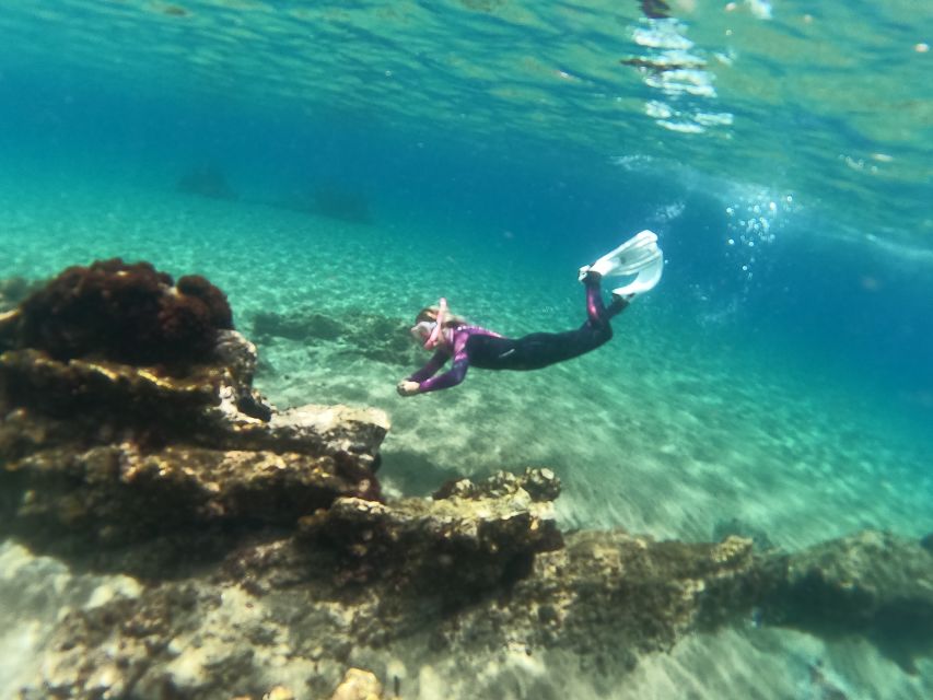 Tenerife: Half-Day Snorkeling Tour - What this snorkeling tour gets right in Tenerife