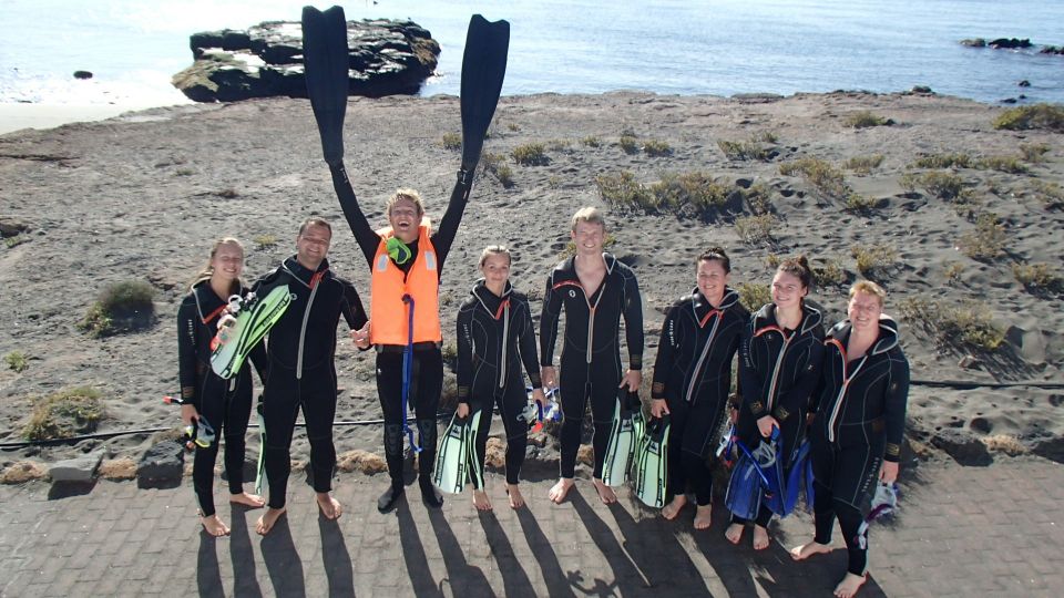 Tenerife: Half-Day Snorkeling Tour - The guided snorkeling in Abades Bay: where you see the good stuff