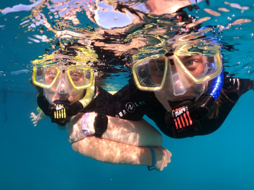 Tenerife: Half-Day Snorkeling Tour - Gear and what it changes for you