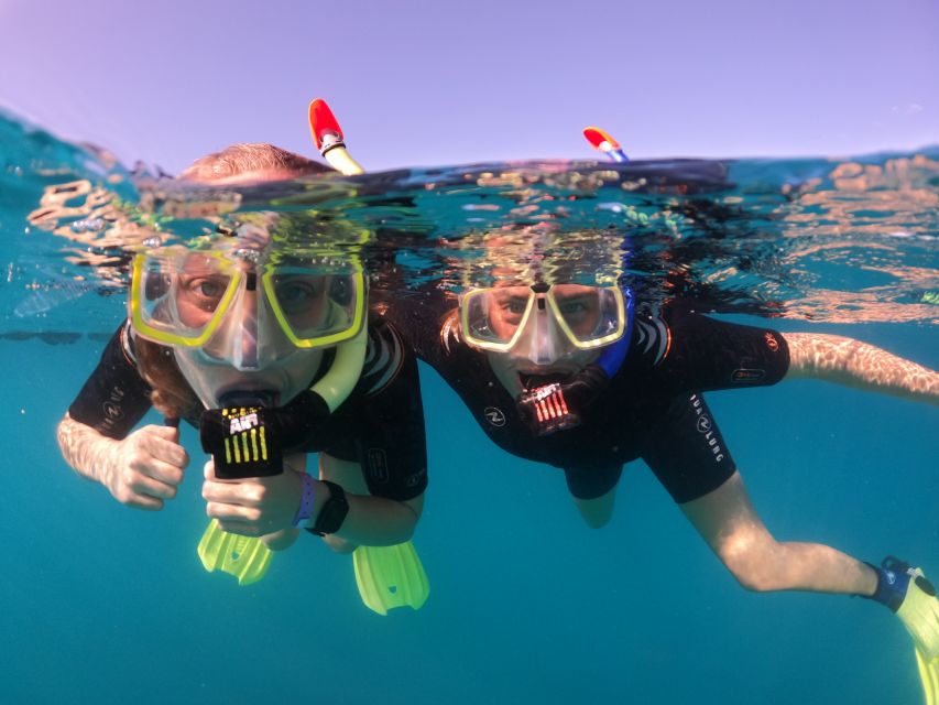 Tenerife: Half-Day Snorkeling Tour - Picking up around Tenerife: convenient without feeling chaotic