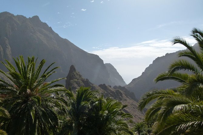 Tenerife Highlights Full-Day Tour - Morning start: Los Cristianos, then Mt. Teide National Park