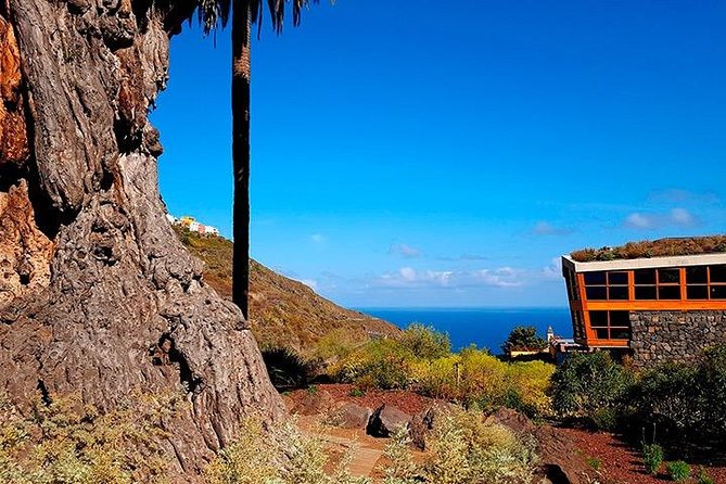 Tenerife Highlights Full-Day Tour - Icod Los Vinos and the Drago Tree: wines, myths, and dragon’s blood