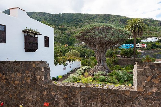Tenerife Highlights Full-Day Tour - Masca Valley: 30 minutes of jaw-dropping views