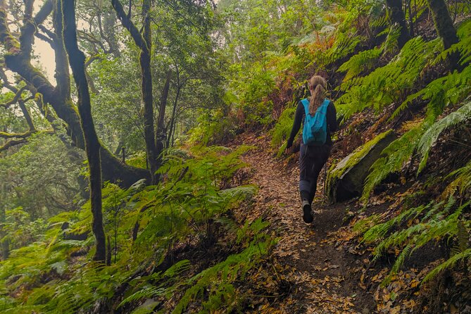 Tenerife: Hiking through Enchanted forest Above Masca with PICKUP - Hotel pickup and getting to the start without drama