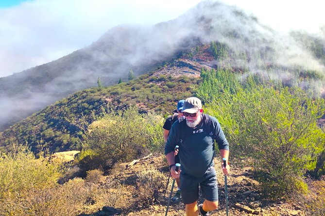 Tenerife: Hiking through Enchanted forest Above Masca with PICKUP - Entering the laurel cloud forest: where the enchanted part can happen