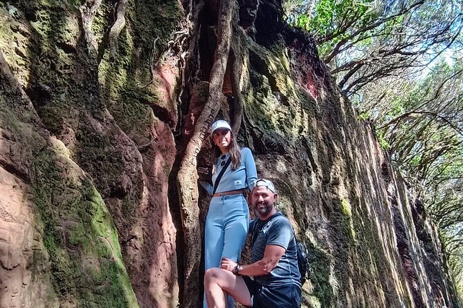 Tenerife: Hiking Tour in Anaga Mountains and Enchanted Forest - Key things that make this Anaga hike worth it