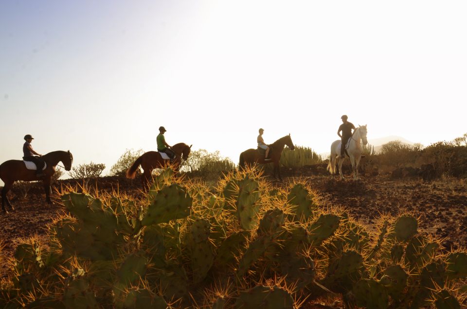 Tenerife: Horseback Ride with Instructor - Key Highlights to Pay Attention To