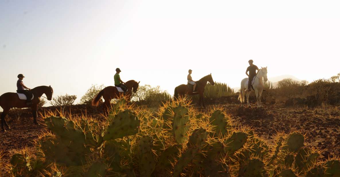 Tenerife: Horseback Ride with Instructor - Entering The Xanadu Ride: Where the Experience Starts in Arona