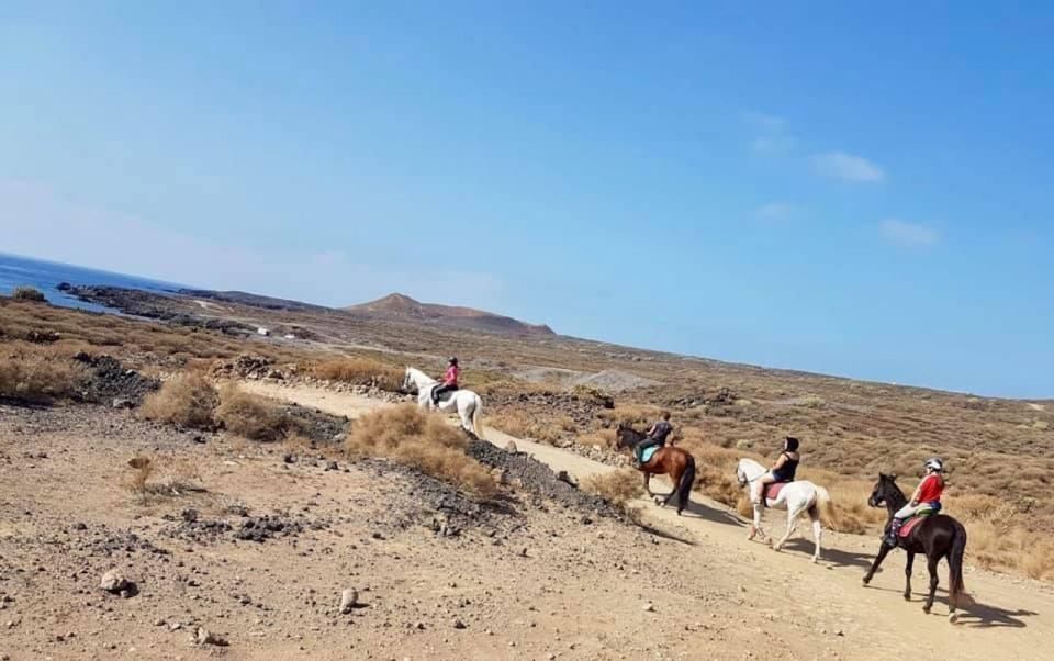 Tenerife: Horseback Ride with Instructor - What You’ll See: Volcanic Ground, Canarian Plants, and Sea Views