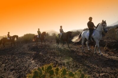Tenerife: Horseback Ride with Instructor - The Route You Get: 1 Hour vs 2 Hours Down to the Coast