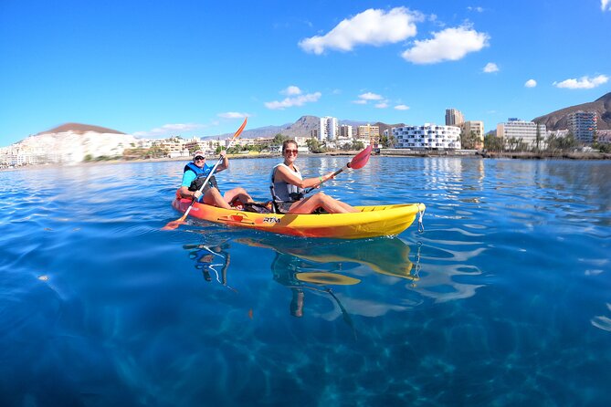 Tenerife: Kayak and snorkel with marine life safari - The Pal Mar Area: why the hike-for-wildlife stop is part of the magic