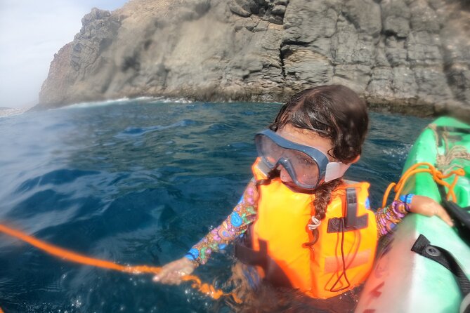 Tenerife: Kayak and snorkel with marine life safari - Re-entry and safety: what to plan for in rougher moments