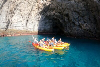 Tenerife: Kayak and snorkel with marine life safari - Snorkeling Under the Surface: best-case memories and real-world tips