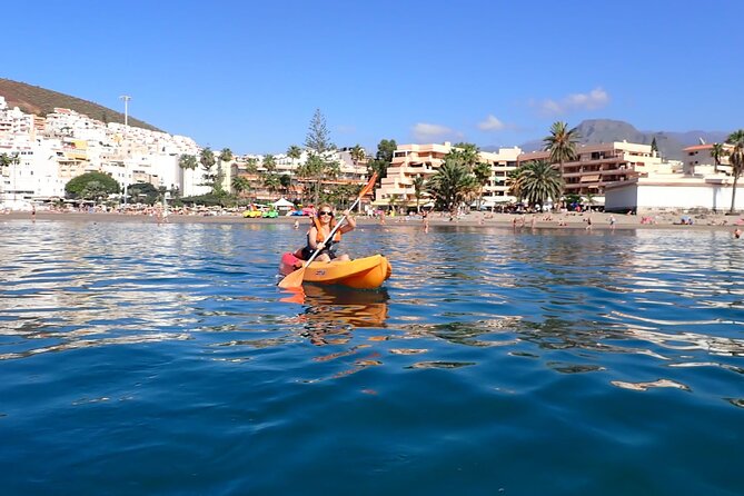 Tenerife: Kayak and snorkel with marine life safari - Guides make it: the names you might hear, and what they signal