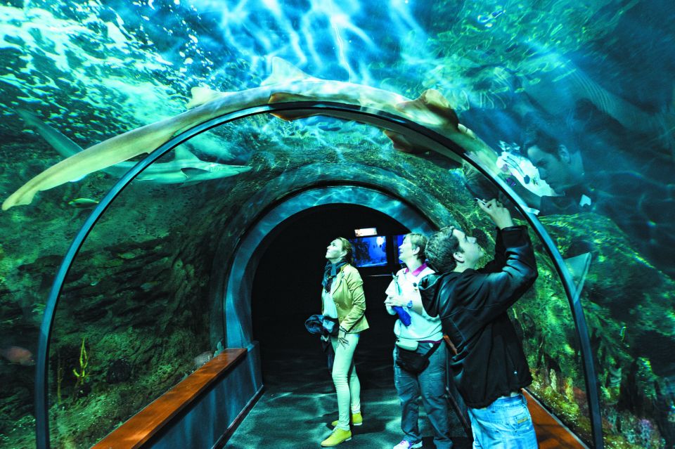 Tenerife: Loro Parque & Siam Park Entry Ticket with Transfer - Siam Park: Thai-Themed Water Slides, Wave Pools, and Queue Strategy