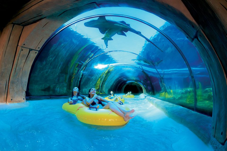 Tenerife: Loro Parque & Siam Park Entry Ticket with Transfer - Price and Value: Why $115 Can Make Sense