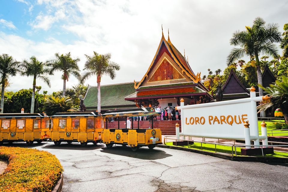 Tenerife: Loro Parque & Siam Park Entry Ticket with Transfer - How the Two Days Work (and Why Loro Parque Gets the Transfer)