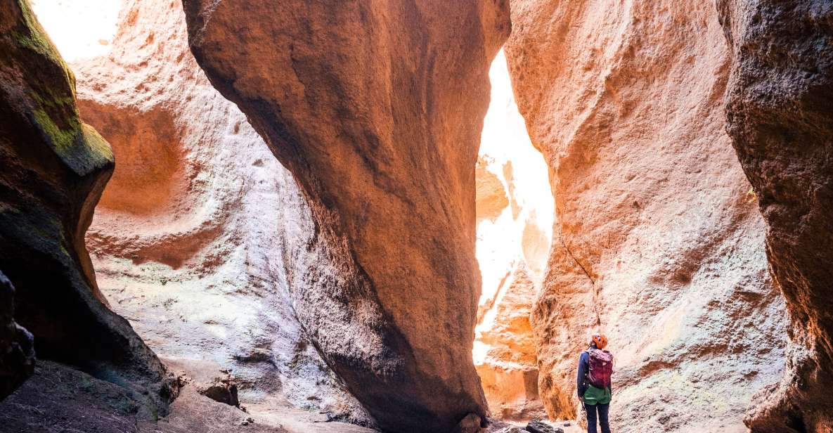 Tenerife: Los Arcos Canyoning Tour with Guide - Key highlights you’ll care about