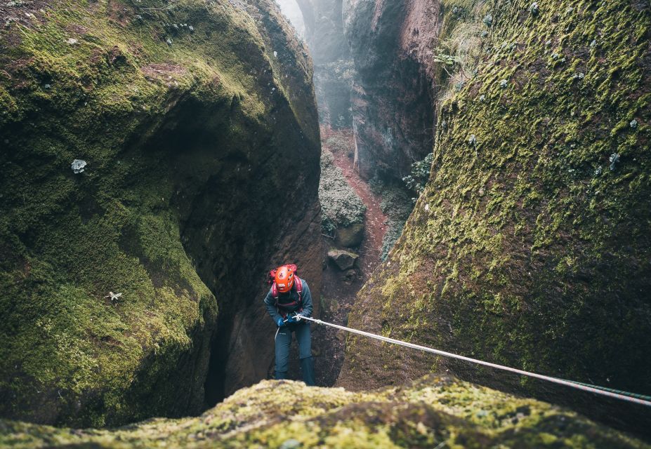Tenerife: Los Arcos Canyoning Tour with Guide - The 45-minute forest track: where you warm up without rushing