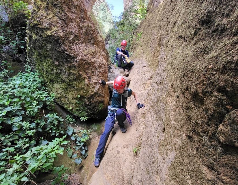 Tenerife: Los Arcos Canyoning Tour with Guide - First drop: the 22-meter rappel that sets your mindset