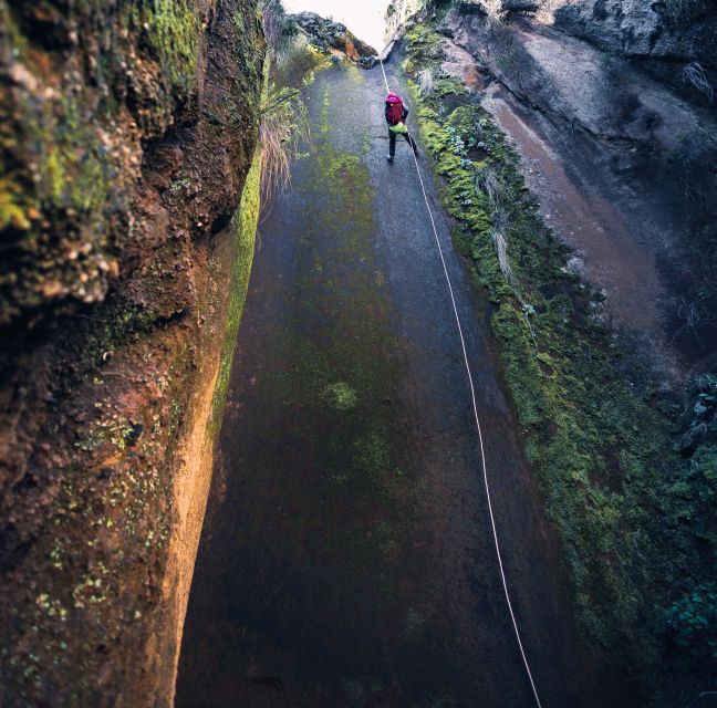 Tenerife: Los Arcos Canyoning Tour with Guide - Price and value at $82: when this tour feels like a steal