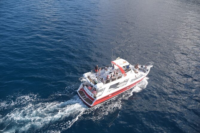 Tenerife Los Cristianos: Whale and Dolphin Eco-Yacht and Swim Stop - The cruise with a built-in landmark: the cave of love