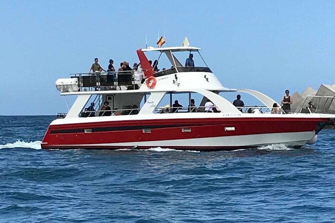 Tenerife Los Cristianos: Whale and Dolphin Eco-Yacht and Swim Stop - Price and value: what $18.10 buys you (and what it doesn’t)