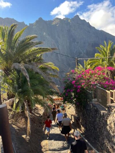 Tenerife: Masca, Los Gigantes & Natural Pools + Picnic - Masca Village: cobblestones, ravines, and giant views