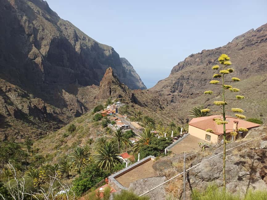 Tenerife: Masca, Los Gigantes & Natural Pools + Picnic - Pickup, vans, and how the day stays smooth