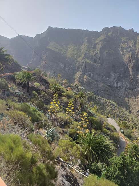 Tenerife: Masca, Los Gigantes & Natural Pools + Picnic - Should you book Masca, Los Gigantes & Natural Pools?