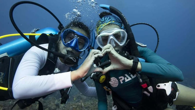 Tenerife: Private Scuba Diving–Certified Instructor & Photos - Key Highlights Worth Noticing