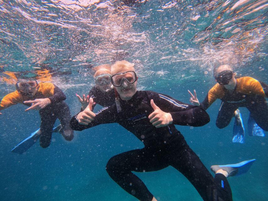 Tenerife: Puerto Colon Snorkel Safari by Speed Boat - How this Puerto Colón snorkel safari really plays out