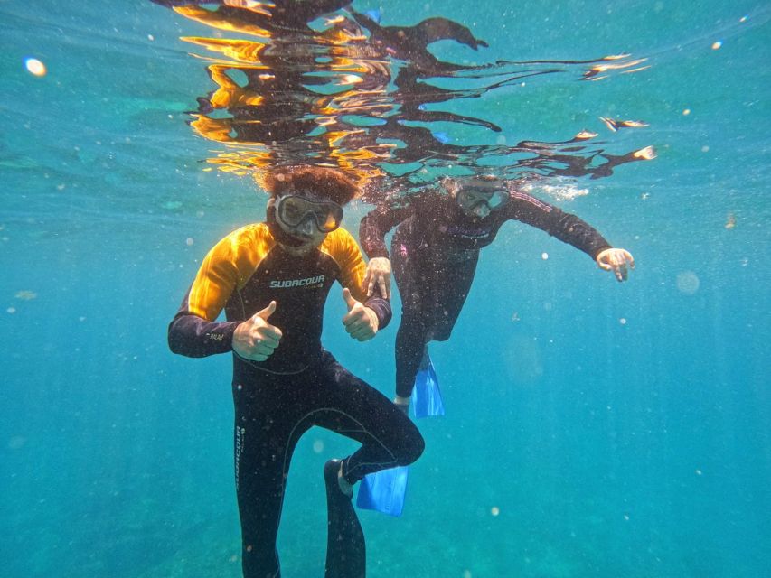 Tenerife: Puerto Colon Snorkel Safari by Speed Boat - Getting geared up: wetsuit, fins, mask, and a real safety check