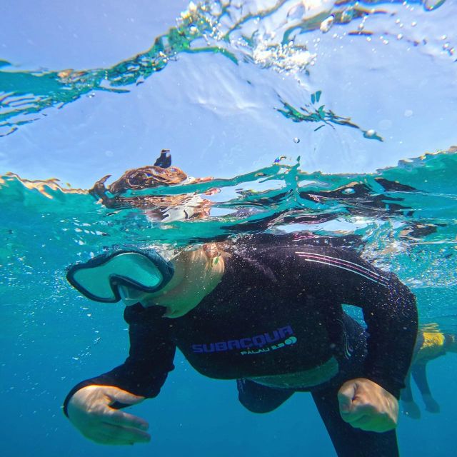 Tenerife: Puerto Colon Snorkel Safari by Speed Boat - Comfort and gear: wetsuits, masks, and why fit matters