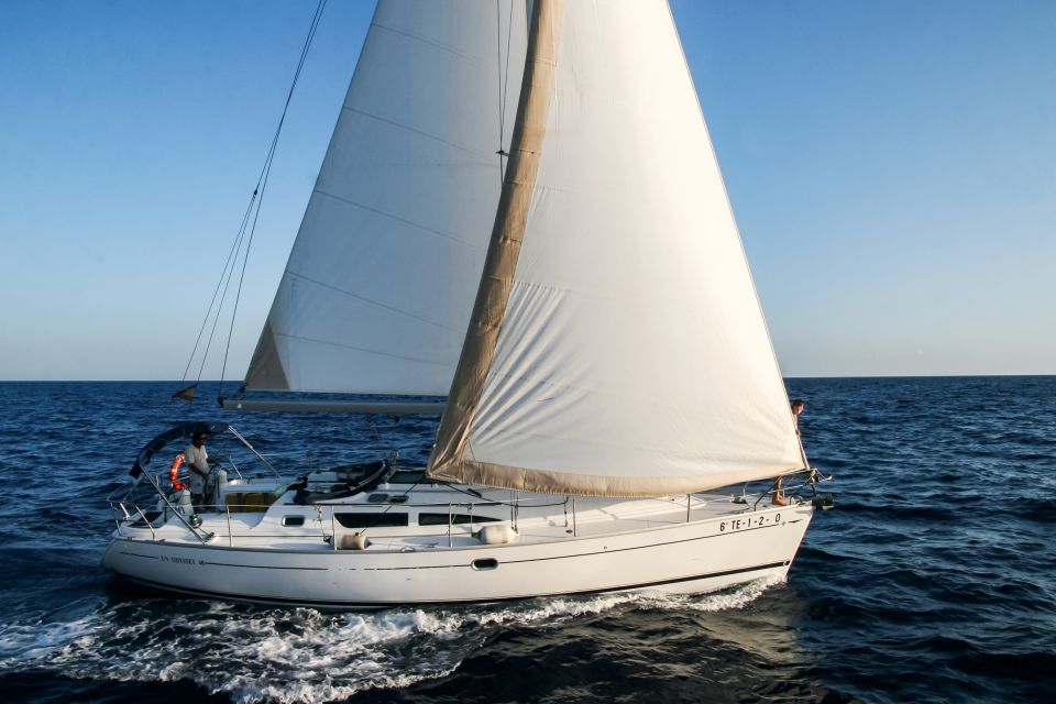 Tenerife: Sailboat Tour Whale Watching Food and Snorkeling - Key Things You’ll Notice Right Away