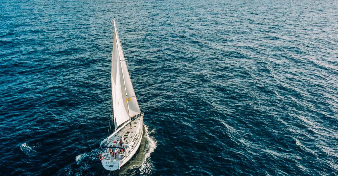 Tenerife: Sailboat Tour Whale Watching Food and Snorkeling - Whale Watching That Feels Like Hunting for Clues, Not Chasing