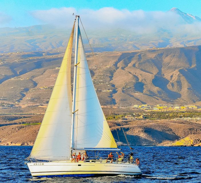 Tenerife: Sailboat Tour Whale Watching Food and Snorkeling - Price and Value: Why $70 Feels Fair Here