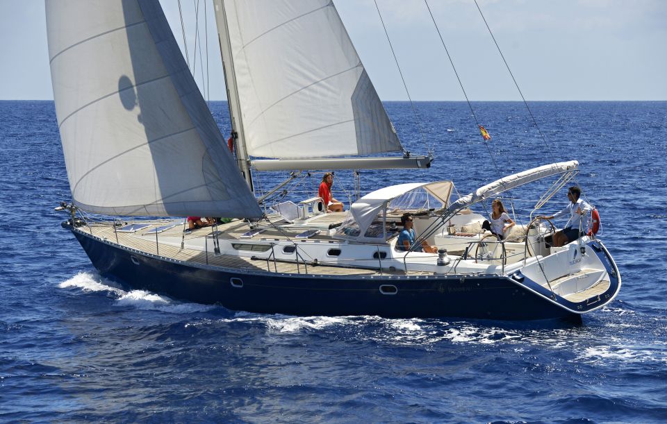 Tenerife: Sailing Excursion with Whale and Dolphin Watching - The 3-hour flow: briefing, sailing the south coast, then the swim bay