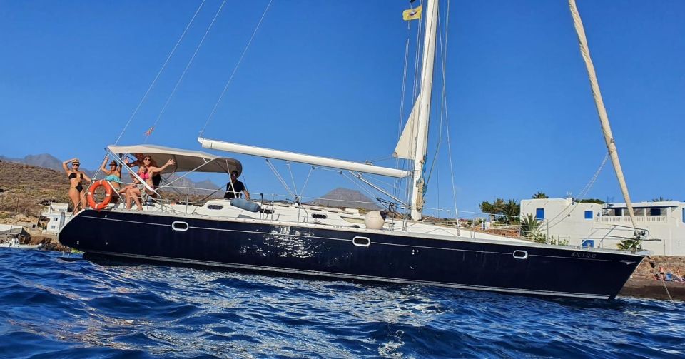 Tenerife: Sailing Excursion with Whale and Dolphin Watching - The secluded bay swim and snorkel stop (bring your towel for real)