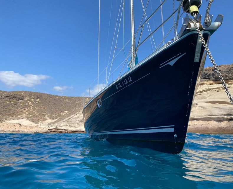 Tenerife: Sailing Excursion with Whale and Dolphin Watching - Who should book this (and who might want a different option)