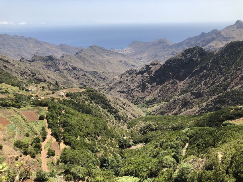 Tenerife: Santa Cruz, La Laguna and Anaga Tour - Price and value: what $61 buys you (and what it doesn’t)