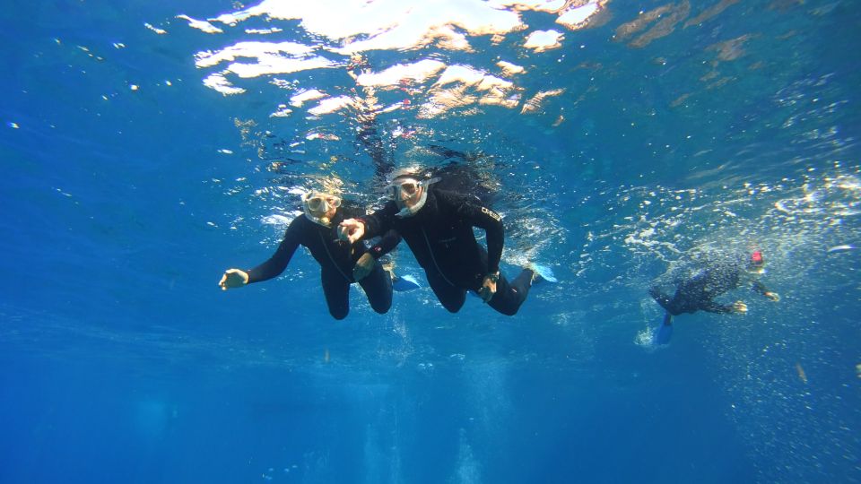 Tenerife: Snorkel with Turtles - Practical Tips Before You Go (So the Day Feels Easy)