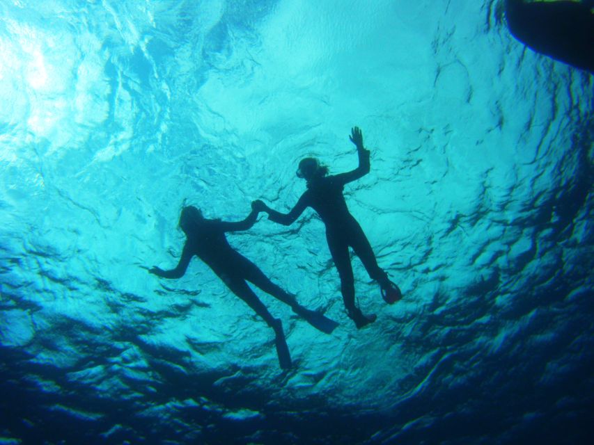 Tenerife: Snorkel with Turtles - The Instructor Role: Coaching You to Snorkel Safely and Respectfully