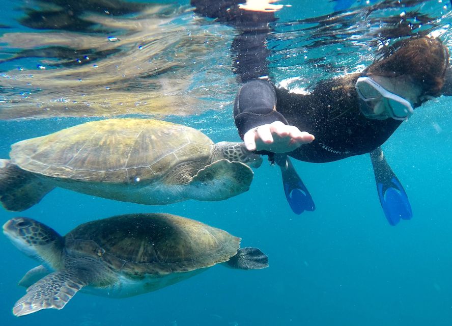 Tenerife Snorkeling boat trip in a Turtle Habitat - Entering the Travel Sub Dive Centre and getting ready the right way