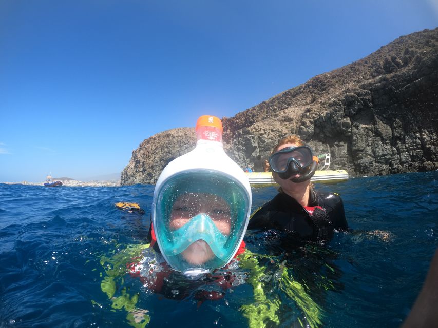 Tenerife Snorkeling boat trip in a Turtle Habitat - Snorkeling in Tenerife’s Turtle Area: what “wildlife odds” feel like