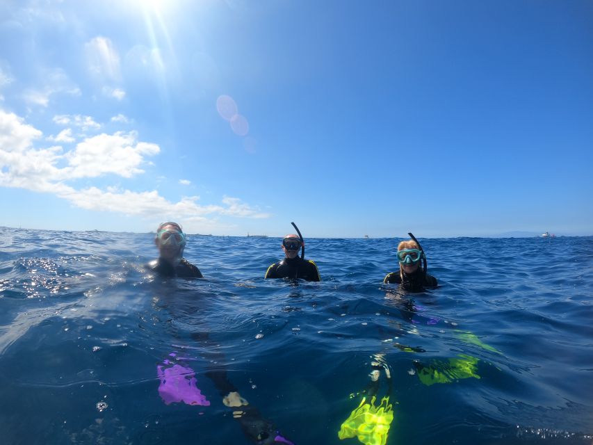 Tenerife Snorkeling boat trip in a Turtle Habitat - The guided part: learning how to breathe without panicking