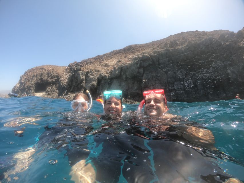 Tenerife Snorkeling boat trip in a Turtle Habitat - Who this tour fits best on Tenerife